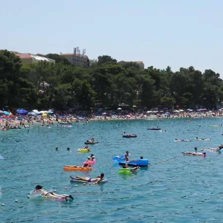 Center * スプリト